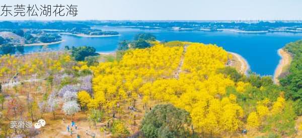 东莞松湖花海