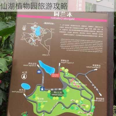 仙湖植物园旅游攻略