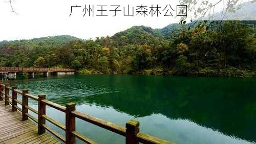 广州王子山森林公园