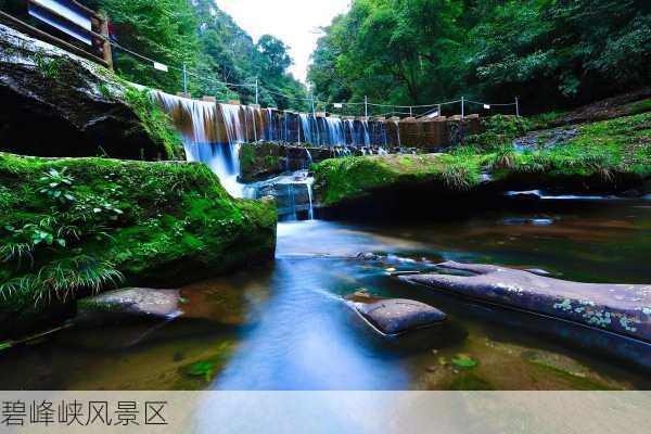 碧峰峡风景区