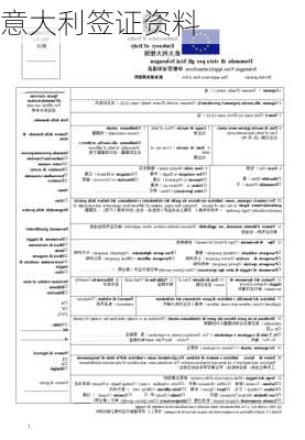 意大利签证资料