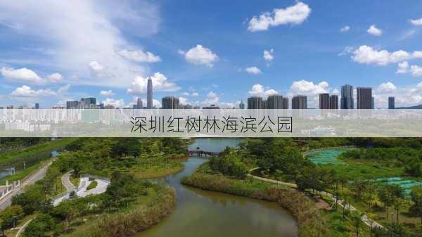 深圳红树林海滨公园