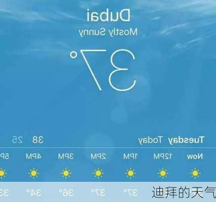 迪拜的天气
