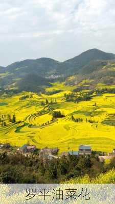 罗平油菜花