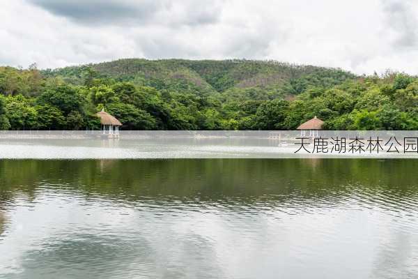 天鹿湖森林公园