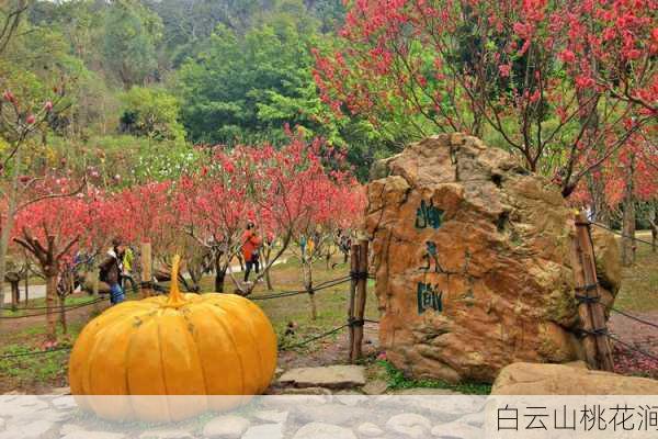 白云山桃花涧