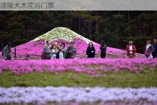 涪陵大木花谷门票