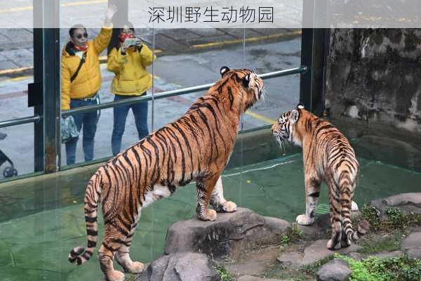 深圳野生动物园