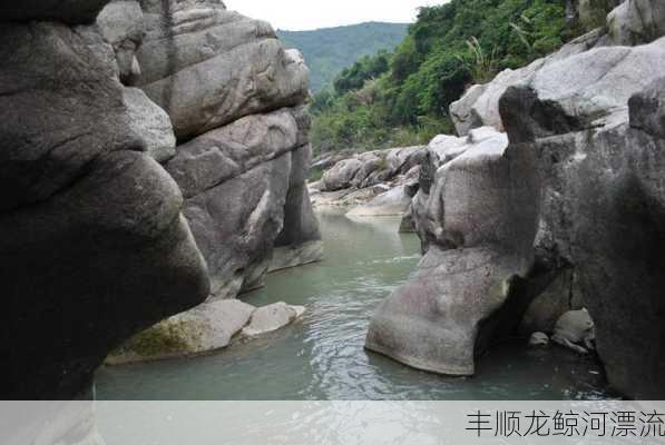 丰顺龙鲸河漂流