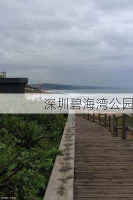 深圳碧海湾公园