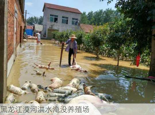 黑龙江漠河洪水淹没养殖场