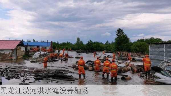 黑龙江漠河洪水淹没养殖场