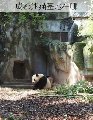 成都熊猫基地在哪