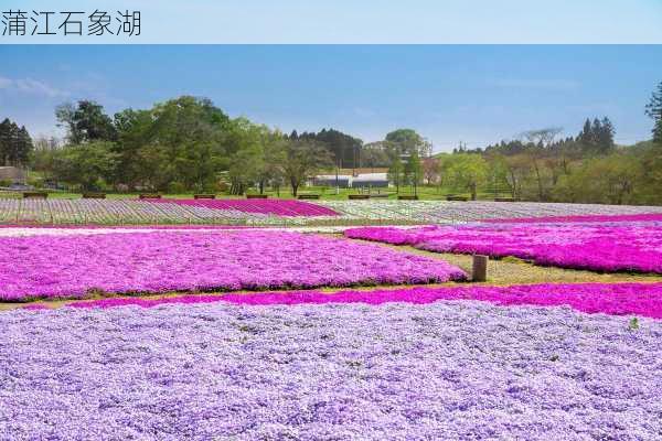 蒲江石象湖