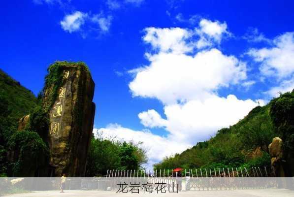 龙岩梅花山