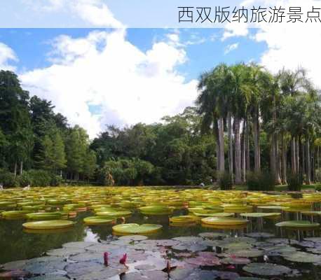 西双版纳旅游景点