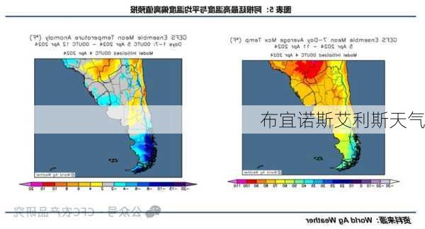 布宜诺斯艾利斯天气