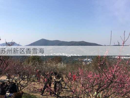 苏州新区香雪海