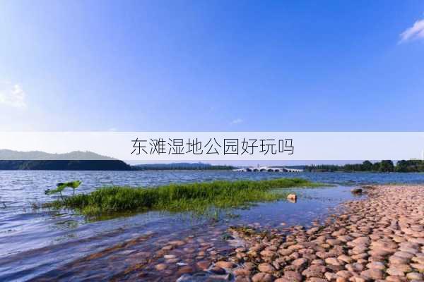 东滩湿地公园好玩吗