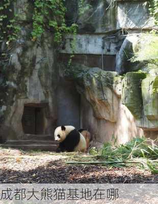 成都大熊猫基地在哪