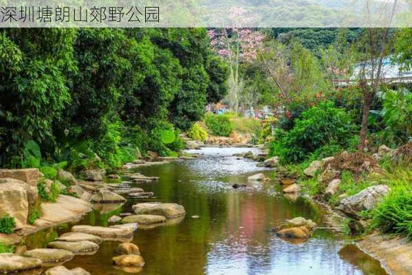 深圳塘朗山郊野公园