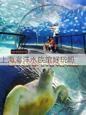 上海海洋水族馆好玩吗