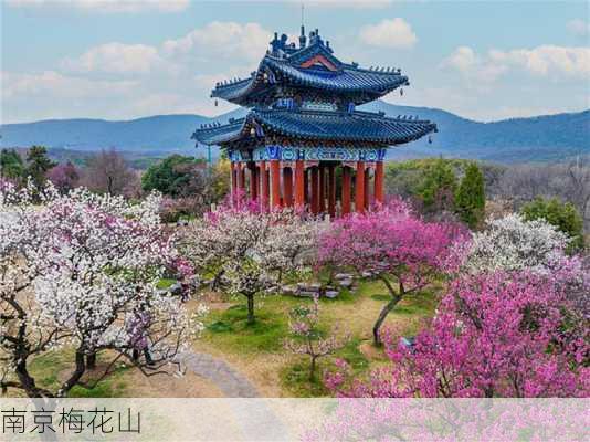 南京梅花山