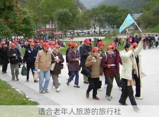 适合老年人旅游的旅行社