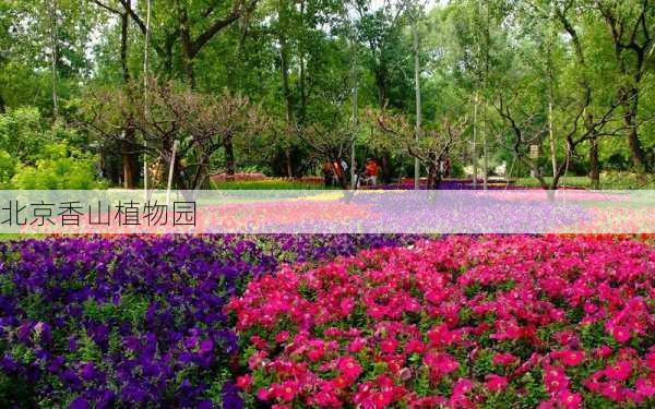 北京香山植物园