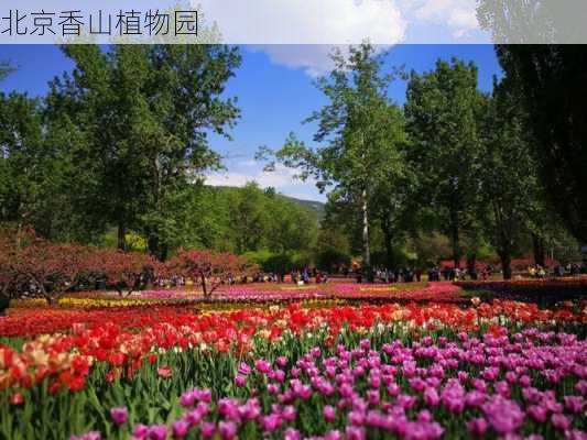 北京香山植物园