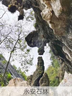 永安石林