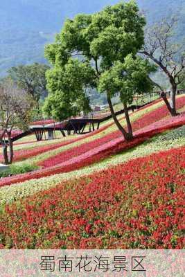 蜀南花海景区